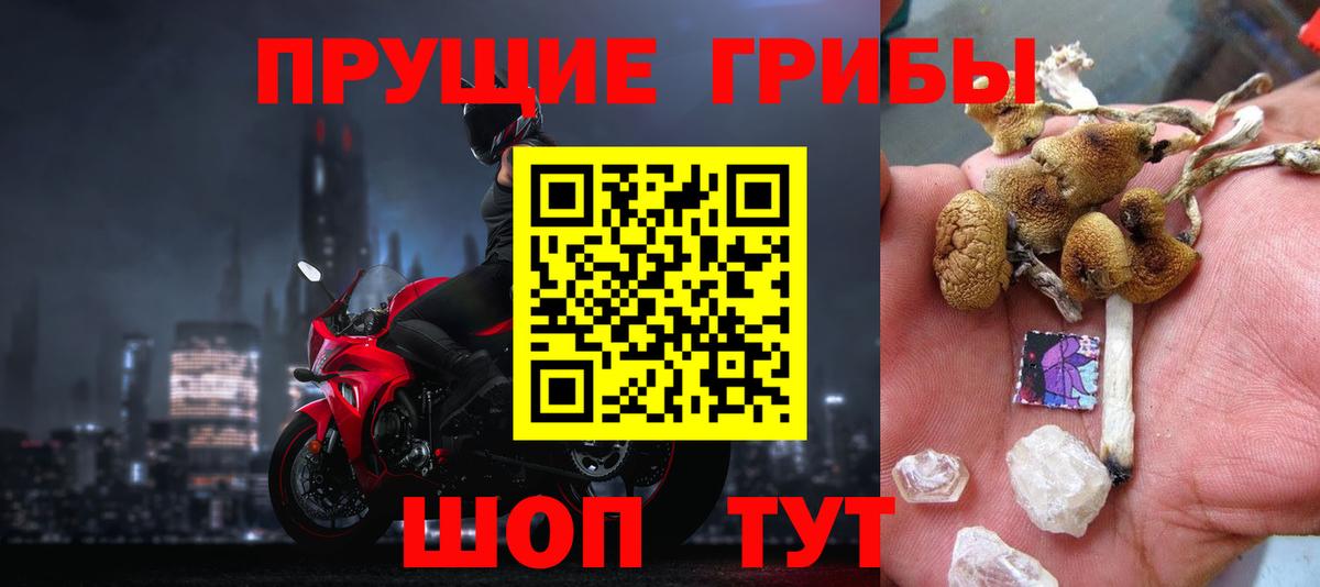 продажа наркотиков  Галлюциногенные грибы прущие грибы  Вход с VPN  Галлюциногенные грибы прущие грибы  Верхняя Пышма 