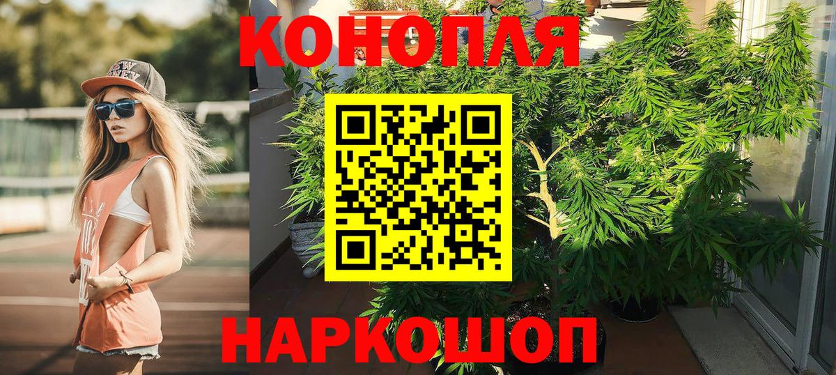 Конопля SATIVA & INDICA  Шишки марихуана сатива  Вход с VPN  Верхняя Пышма  Шишки марихуана VHQ 